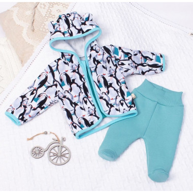 Комплект 2 ед. RoyalBaby Пингвины (трехнитка на флисе) р.56, 0-3 мес