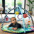 Развивающий коврик 2в1 Baby Einstein Sea Floor Explorers