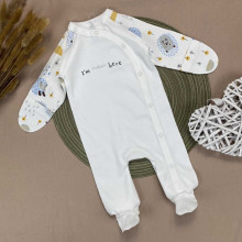 Человечек RoyalBaby Ежики, I’m New Here (интерлок) р.56, 0-3 мес Человечек RoyalBaby Ежики, I’m New Here (интерлок) р.56, 0-3 мес