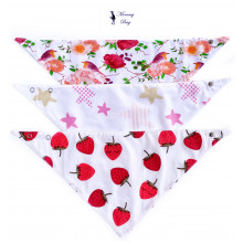 Набор Слюнявчиков 3 шт. 0-6 мес для девочки