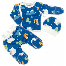 Комплект 3 ед. RoyalBaby Полярный Мишка (байка) р.56, 0-3 мес