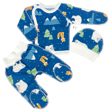 Комплект 3 ед. RoyalBaby Полярный Мишка (байка) р.56, 0-3 мес