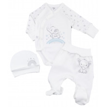 Комплект 3 ед. RoyalBaby Слоники (интерлок) р.62, 0-6 мес