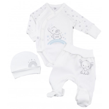 Комплект 3 ед. RoyalBaby Слоники (интерлок) р.62, 0-6 мес