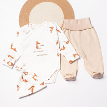 Комплект 3 ед. RoyalBaby Мой маленький лисенок (интерлок) р.56, 0-3 мес Комплект 3 ед. RoyalBaby Мой маленький лисенок (интерлок) р.56, 0-3 мес