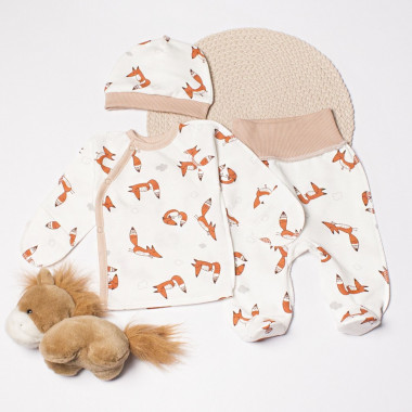 Комплект 3 ед. RoyalBaby Лисички (байка) р.62, 0-6 мес