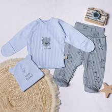 Комплект 3 ед. RoyalBaby Голубой Little Friend (интерлок) р.56, 0-3 мес Комплект 3 ед. RoyalBaby Голубой Little Friend (интерлок) р.56, 0-3 мес