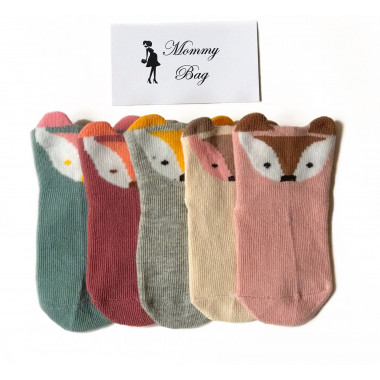 Носочки RoyalBaby Лисички 0-12 мес 5 пар №44 р.10