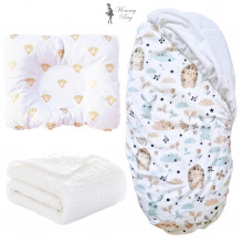 Набор 3в1 в КОЛЯСКУ RoyalBaby №2 Ежики и зайчики с муслиновым пледом Набор 3в1 в КОЛЯСКУ RoyalBaby №2 Ежики и зайчики с муслиновым пледом