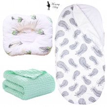 Набор 3в1 в КОЛЯСКЕ RoyalBaby №5 Перья серые и зеленые с муслиновым пледом Набор 3в1 в КОЛЯСКЕ RoyalBaby №5 Перья серые и зеленые с муслиновым пледом