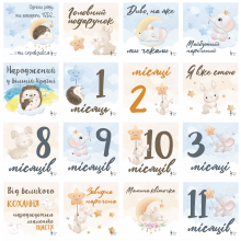 Карточки для фотосессий малыша №6 Ёжики и зайчики, набор 30 двусторонних 10х10 см карточек