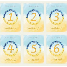 Карточки для фотосессий малыша “Привет, я из Украины”, 16шт 10х15см