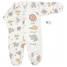 Человечек RoyalBaby Лесные друзья р.56, 0-3 мес Человечек RoyalBaby Лесные друзья р.56, 0-3 мес