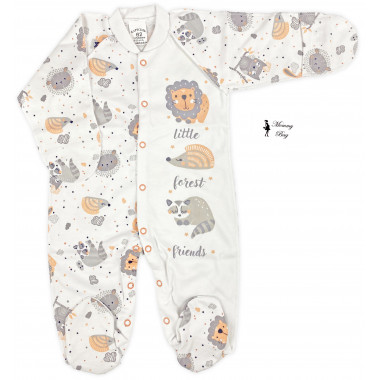 Человечек RoyalBaby Лесные друзья р.62, 0-6 мес