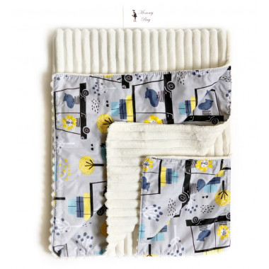 Плед с плюшем Лев в машинке №8