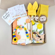 Подарочный набор “Привет Мир” с пледом №3 новорожденному на выписку