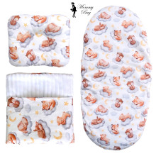 Набор 3в1 в КОЛЯСКУ RoyalBaby №25 Спящие зверьки с пледом Набор 3в1 в КОЛЯСКУ RoyalBaby №25 Спящие зверьки с пледом