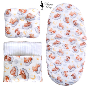 Набор 3в1 в КОЛЯСКУ RoyalBaby №25 Спящие зверьки с пледом