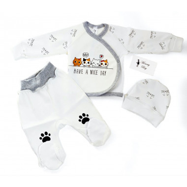 Комплект 3 ед. RoyalBaby Котята р.56, 0-3 мес