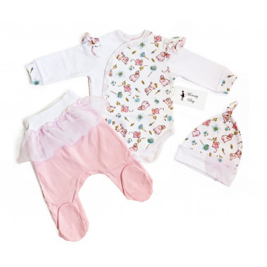 Комплект 3 ед. RoyalBaby Зайчики и котики, с фатином р.56, 0-3 мес