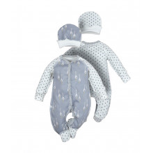 Человечек RoyalBaby Лебеди р.56, 0-3 мес Человечек RoyalBaby Лебеди р.56, 0-3 мес