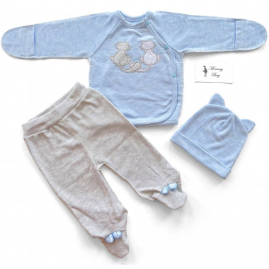 Комплект 3 ед. RoyalBaby Котики с хвостиками р.62, 0-6 мес